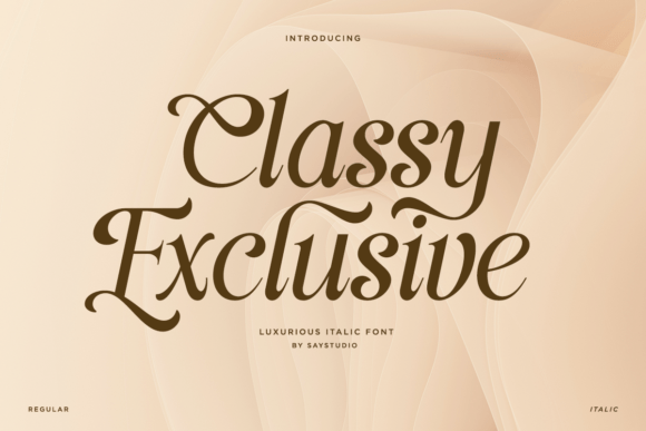 Classy Exclusive Font for Business