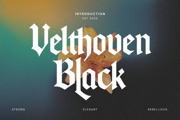Velthoven Black: A Bold Statement in Blackletter